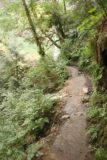 John_B_Yeon_SP_025_08172017 - Walking along the narrow ledges leading to the base of Elowah Falls seen up ahead