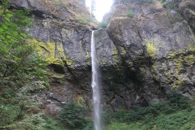 John_B_Yeon_SP_035_08172017 - Elowah Falls in low late Summer flow