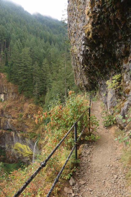 John_B_Yeon_SP_092_08172017 - Context of the Upper McCord Creek Falls Trail with Elowah Falls down below