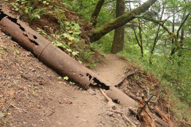 John_B_Yeon_SP_140_08172017 - The Upper McCord Creek Falls Trail traversed some of the pipes that apparently used to divert water for Myron Kelly's pulp mill back in the late 1800s