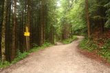 Josefstaler_Waterfall_016_06282018 - Continuing up the gravel road of the rundweg for the Josefstaler Waterfalls