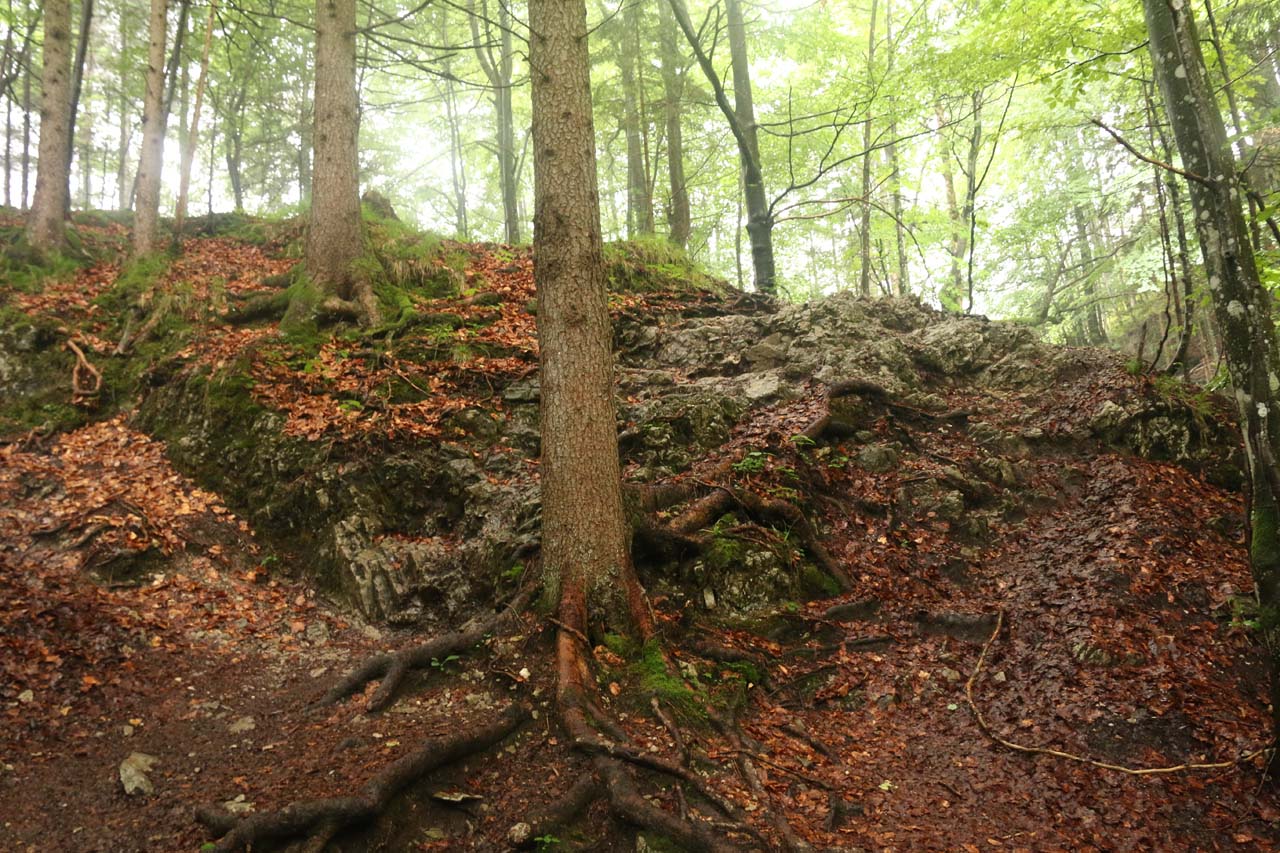 Josefsthaler Waterfalls - Forest Walk to Falls and Cascades