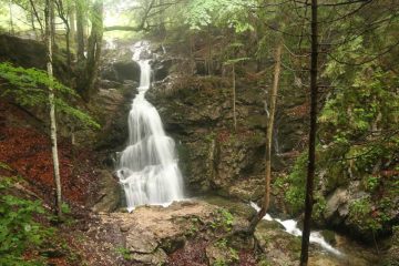 Josefstaler_Waterfall_050_06282018