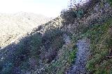 Josephine_Creek_Falls_015_01012022 - Still skirting the narrow and erosion-prone Big Tujunga Canyon Trail in pursuit of Josephine Falls