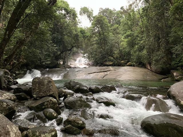 Mom and I were visiting Josephine Falls in Queensland, Australia when we learned about my brother's passing