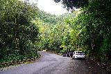 Juan_Diego_Falls_003_04152022 - Looking ahead towards the trailhead for Quebrada Juan Diego in El Yunque