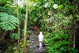 Juan_Diego_Falls_013_04152022 - Tahia on the short trail leading to the waterfalls of Juan Diego Creek