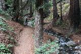 Julia_Pfeiffer_Burns_SP_013_11172018 - Julie now hiking along McWay Creek en route to Canyon Falls