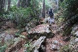 Julia_Pfeiffer_Burns_SP_022_11172018 - Julie continuing on the Canyon Falls Trail well after the creek crossing, where the trail itself became narrower and rockier as the canyon was closing in