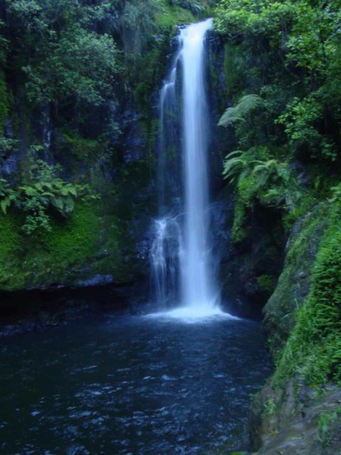 Kaiate_Falls_021_11122004 - The lower section of Kaiate Falls