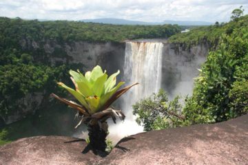 Kaieteur Falls is Guyana's greatest scenic wonder.  The Potaro River is said to drop some 221m with a width of nearly 100m (though rainy-season dimensions of 741ft high and 370ft wide...