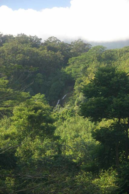 Kalihiwai Falls as seen from a distance