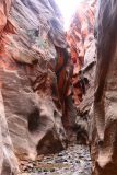 Kanarraville_Falls_123_04052018 - While the Kanarra Creek Narrows were shallow compared to the famous Zion Narrows, it was still satisfying as you can see in this photo