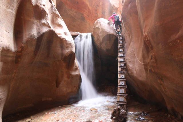 Kanarraville_Falls_146_04052018 - Mom going up the ladder to get past the first of the main Kanaraville Falls or Kanarra Falls within the first narrows of Kanarra Creek Canyon