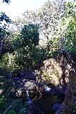 Kapena_Falls_015_11252021 - Looking across an intermediate waterfall in seemingly low flow on the way to Kapena Falls