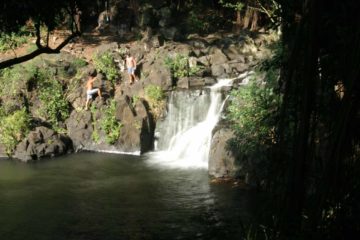 Kapena Falls is a tiny waterfall tumbling around 20-30ft.  It's usually unnoticed by motorists zooming along the Pali Highway not realizing the falls is almost...