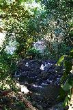 Kapena_Falls_049_11252021 - Another look back at an intermediate cascade fronting Kapena Falls