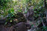Kapena_Falls_056_11252021 - Going back amongst some fallen rocks on the way back from Kapena Falls