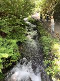 Karuizawa_Shiraito_004_iPhone_07072023 - Context of the outflow of the stream downstream of Karuizawa Shiraito Falls