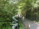 Karuizawa_Shiraito_005_iPhone_07072023 - Another look at the walkway leading up to the Karuizawa Shiraito Falls