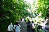 Karuizawa_Shiraito_023_07062023 - There were lots of people along the walk to the Karuizawa Shiraito Falls during our July 2023 visit