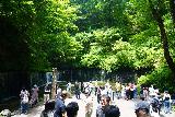 Karuizawa_Shiraito_030_07062023 - A very busy scene at the Karuizawa Shiraito Falls