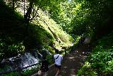 Karuizawa_Shiraito_044_07062023 - Looking down the trail where people would return from the Karuizawa Shiraito Falls