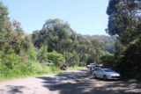 Kennett_River_016_11182017 - Context of cars spontaneously parked off the side of the dirt road with people moving about in search of koalas at Kennett River