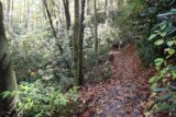 King_Creek_Falls_009_20121015 - The King Creek Falls Trail narrowered between the footbridge and the falls itself
