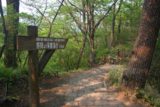 Kirifuri_003_05242009 - On the nature walk leading to the Kirifuri Waterfall lookout