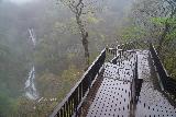 Kirifuri_Falls_086_04142023 - Context of Kirifuri Falls with the lookout platform as seen in mid-April 2023