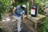 Kitekite_Falls_001_01092010 - Julie dutifully spraying to help control kauri dieback disease