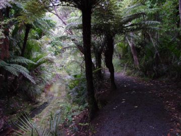 Kitekite_Falls_003_12022004