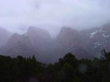 Kolob_002_03152003 - The concealed finger canyons of Kolob in the rain