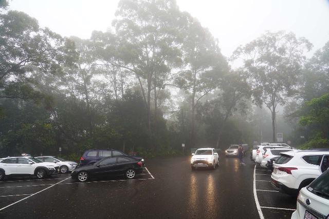 Kondalilla_Falls_001_07042022 - The weather wasn't the greatest when we showed up to the Kondalilla Falls car park in early July 2022, but it was still surprisingly busy