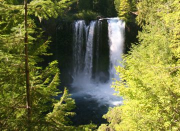 Koosah Falls is a block waterfall just downstream from Sahalie Falls and upstream from Tamolitch Falls.  All of these falls are on the McKenzie River in the Willamette National...