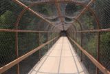 Kootenai_Falls_139_08052017 - Going back across the caged bridge traversing the railroad tracks