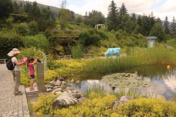 Krimml_Waterfall_373_07142018