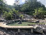 Kusatsu_037_iPhone_07072023 - Another look across the man-modified fringes of the hot spring pond at Sainokawara Park