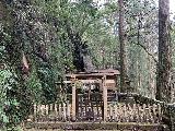 Kuwanoki_Falls_005_iPhone_04112023 - Another look at the worshipping area for the Ogahachiman Shrine on the Kuwanoki Falls Trail