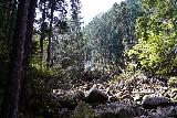 Kuwanoki_Falls_051_04102023 - Another more direct look towards the logjam on the way to Kuwanoki Falls