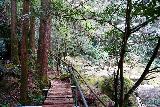 Kuwanoki_Falls_056_04102023 - Still continuing on the well-maintained creekside trail leading to the Kuwanoki Falls