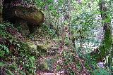 Kuwanoki_Falls_060_04102023 - The narrowing trail going alongside some boulders precariously balanced next to the Kuwanoki Falls Trail