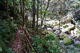Kuwanoki_Falls_063_04102023 - Following some rope-lined part of the Kuwanoki Falls Trail alongside some mossy boulders in the creek
