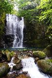 Kuwanoki_Falls_080_04102023 - Portrait look at the Kuwanoki Falls fronted by a smaller cascade draining its deep green plunge pool