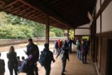 Kyoto_037_10242016 - It was busy at the Ryoan-ji when we made our visit even though it was a Tuesday