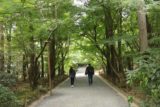 Kyoto_058_10242016 - Walking the garden complex after having visited the main building of the Ryoan-ji Temple