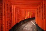 Kyoto_081_05312009 - Inside the torii hallway