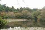 Kyoto_081_10242016 - Looking out over a large pond at the Ryoan-ji Temple gardens