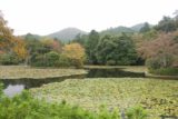 Kyoto_109_10242016 - Beautiful view across the Ryoan-ji garden complex